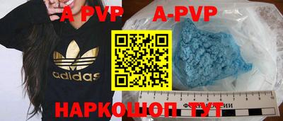 гашик Моздок