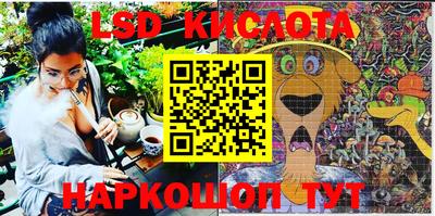 гашик Моздок