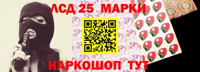 гашик Моздок