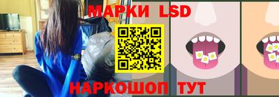 гашик Моздок