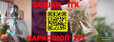 гашик Моздок