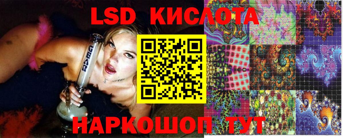 Свободный  Наркотические марки  Наркотические марки 1,5мг  Вход с VPN  Наркотические марки 1,5мг 
