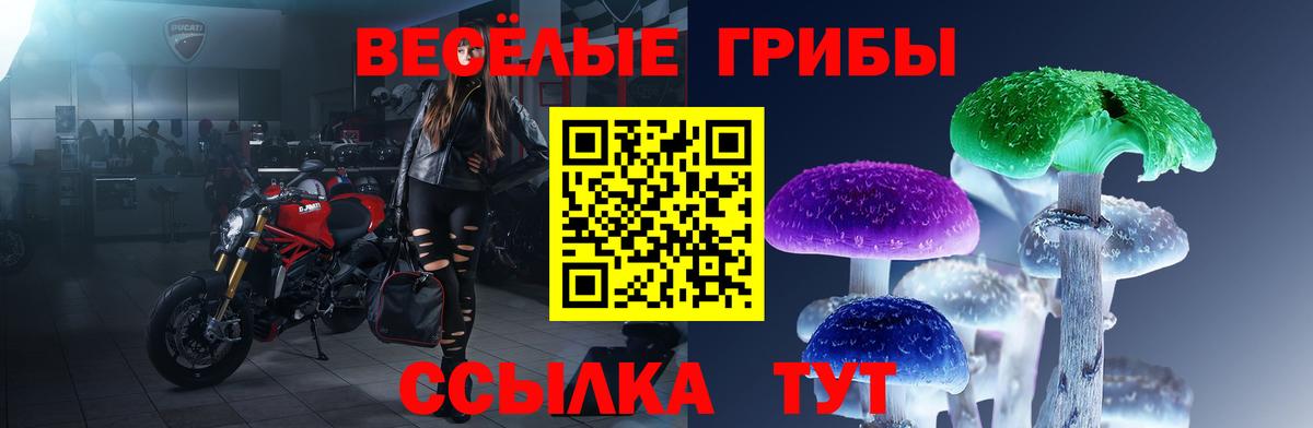 Галлюциногенные грибы мицелий  Вход с VPN  где купить   Свободный 